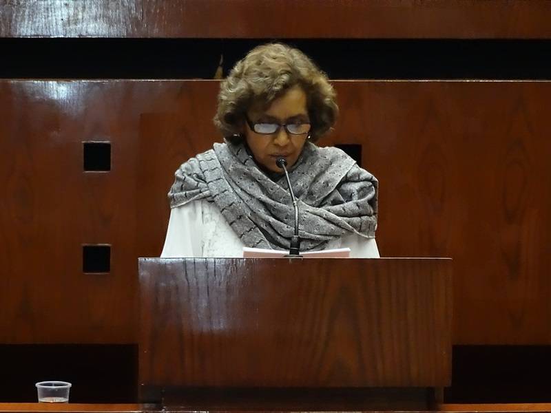 Leyes de Ingresos del 2016 duplicarán cobro de impuestos a ciudadanos, alerta diputada del Morena