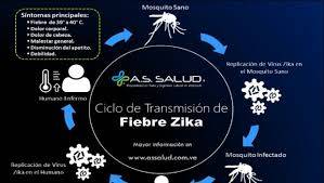 Intensa campaña contra el virus Zica, anuncia la SSA