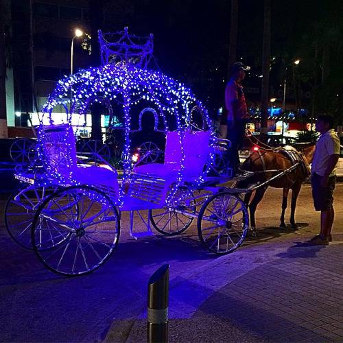 Piden retirar caballos de tradicionales calandrias en Acapulco