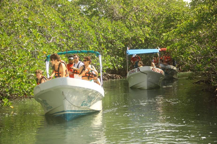 Acaban con manglares (SOS)